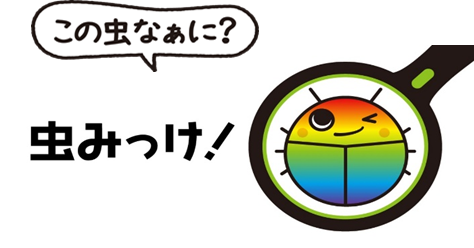 ダスキン ターミニックス公式虫判定アプリ「虫みっけ！」4 月1 日(⽕)リリース開始