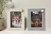 わんちゃん、ねこちゃん用フォトフレーム「プチテコレ」4/8発売！プロのカメラマン撮影の写真をカタチに残すPETLIFコラボ企画