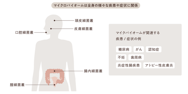 株式会社KINS、シリーズCファーストクローズで資金調達を実施
