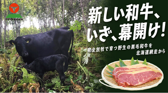 新しい和牛、いざ幕開け！「超希少。北海道網走で育つ、野生の黒毛和牛」クラウドファンディングスタート