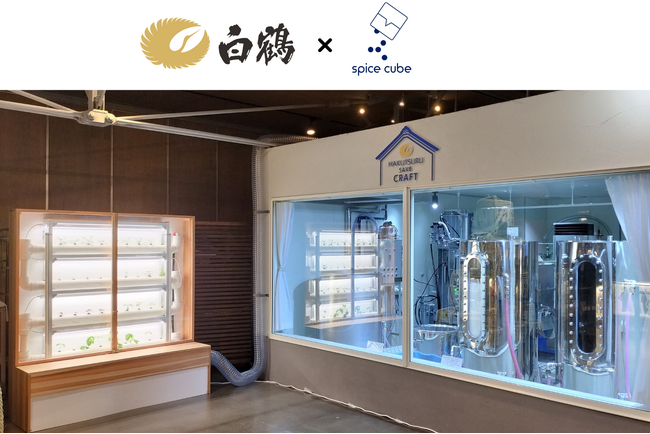 「農業×酒蔵」白鶴酒造との共同プロジェクト始動！ 酒造りで発生するCO2を活用し、植物を育てる”循環型”の取り組み スパイスキューブ株式会社
