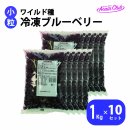 ワイルド種　冷凍ブルーベリー