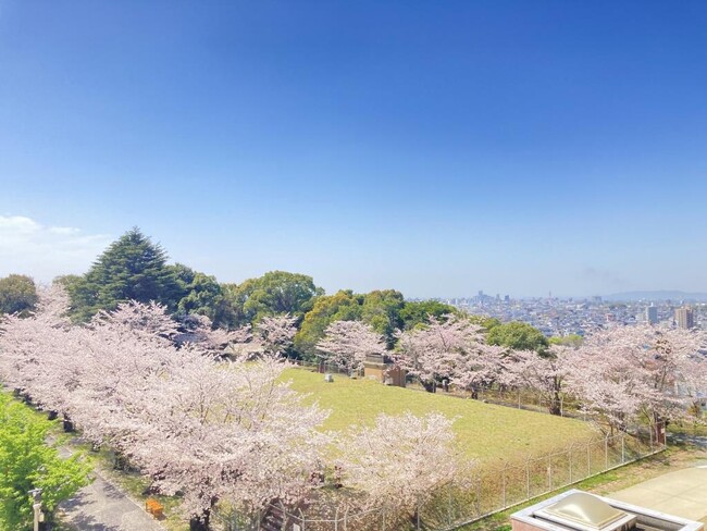 桜咲く季節、今年も開催します！水フェス―Ｓｐｒｉｎｇ―桜舞う浄水場へようこそ！