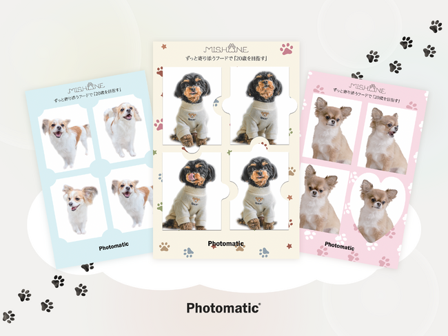 【ワンちゃん専用】Photomaticのフォトブースが東京ビックサイトで開催される「インターペット2025」のミシュワンの展示ブースに登場！