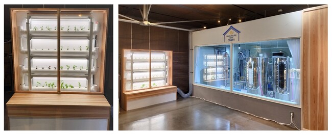 発酵由来CO2の利活用実証プロジェクト！白鶴酒造資料館内のマイクロブルワリー「HAKUTSURU SAKE CRAFT」の発酵由来CO2で植物を栽培開始