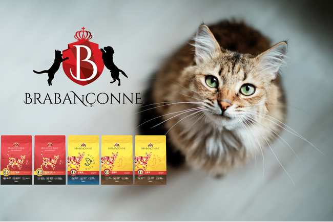 【新発売】ベルギー産プレミアムペットフード「BRABANCONNE（ブラバンソンヌ）」から待望のキャットフード500gパッケージが登場