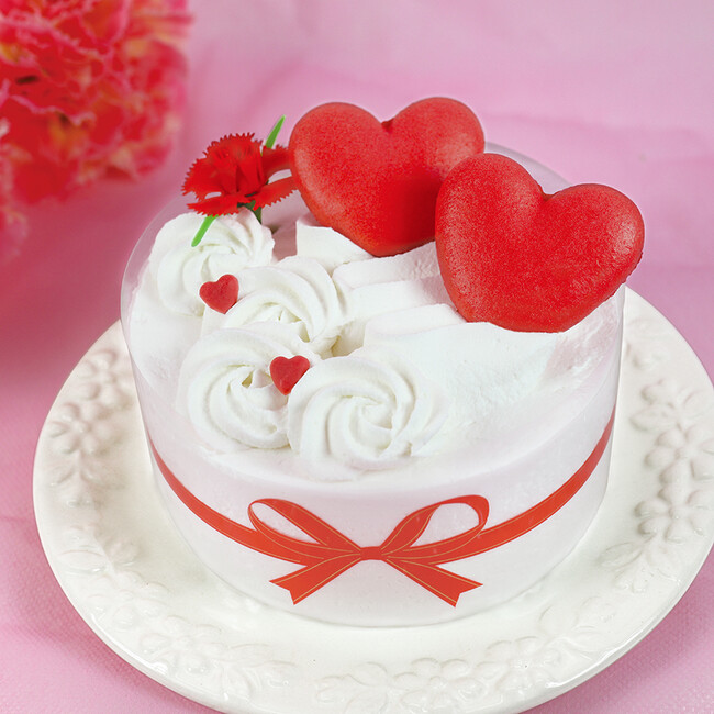 「ありがとう」の気持ちを込めて、母の日をお祝い！ 不二家洋菓子店　ネット予約受付サイト「FUJIYA-Sweets.com」母の日商品