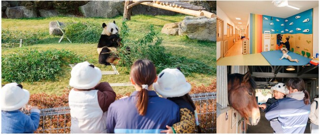 アドベンチャーワールド企業内保育園「キラボシ」で「保育園留学」受入れ開始～“パークがまるごと園庭”の、いのちとふれあう保育園で特別な体験を～