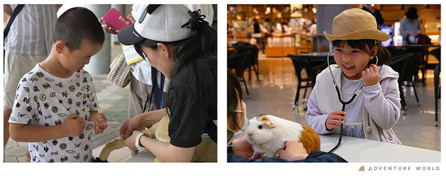 「第14回白浜商工祭」動物のお医者さん 聴診・採血の模擬体験ブースを出展します