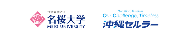 名桜大学と沖縄セルラーがデータサイエンス教育強化の産学連携PBL演習を実施