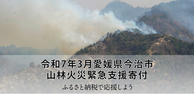 さとふる、「令和7年3月愛媛県今治市 山林火災緊急支援寄付サイト」で愛媛県上島町による愛媛県今治市への「代理寄付」の受け付けを開始