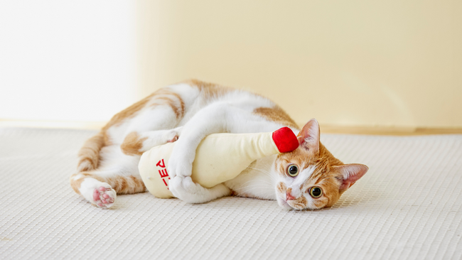 マヨネーズ好きにゃん誕生！？猫と飼い主さんが喜ぶ猫用キッカー「けりマヨ」4月17日に発売!