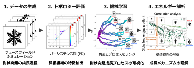 薄膜生成時の枝分かれ現象を、トポロジー・物理・AIの融合で解明 ～Beyond 5Gを支える基盤技術への応用に期待～