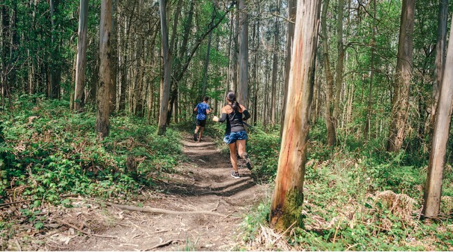 「Outdoor PASS グリーンシーズンプラン」初月無料＆翌月半額キャンペーン開始！