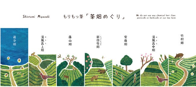【宮崎県】有機JAS取得の茶園が茶畑の生態系を守る持続可能な新ブランド「茶畑めぐり」を発表