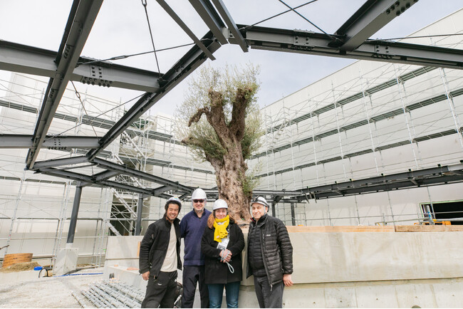 【世界初公開！EXPO 2025 大阪・関西万博】ニナファーム、仏パビリオン「ミラクルガーデン」の《 奇跡の千寿オリーブ 》