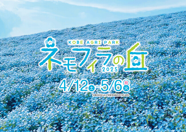 約100万輪のネモフィラが咲き誇る春の新名所が神戸に誕生！『こうべアグリパークネモフィラの丘2025』4月12日（土）からいよいよ開催！