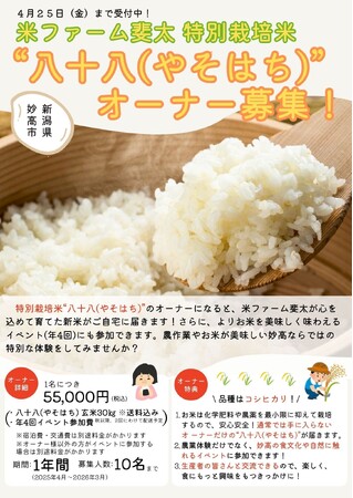 あなたも“お米のオーナー”に！妙高の自然が育む特別栽培米「八十八（やそはち）」オーナー募集開始