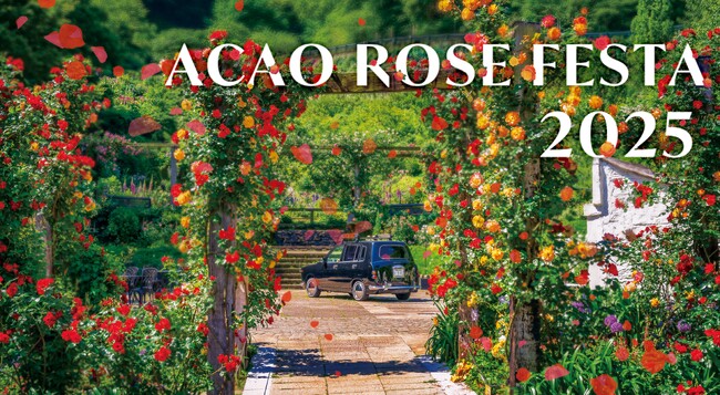 600種4,000株が咲き誇るバラの祭典「ACAO ROSE FESTA 2025」4月26日（土）から6月30日（月）の期間で開催
