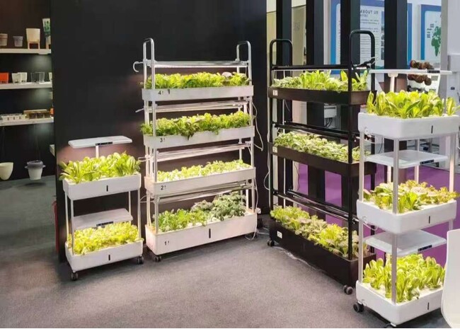 【いちごも、わさびも、オフィスで育つ！】無農薬野菜＆高付加価値作物が育てられる水耕栽培「M-Farm」無料レンタル開始！
