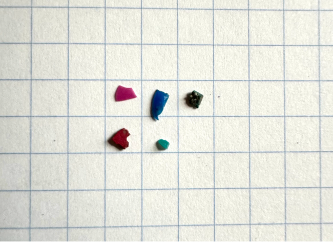NPO法人クリーンオーシャンアンサンブル調査チーム、第2弾コラムを公開～一次、二次マイクロプラスチックの実態と企業ができる対策～