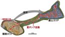 図2:対象とした造成工事現場全体図(場内運搬の移動経路) 図2:対象とした造成工事現場全体図(場内運搬の移動経路)