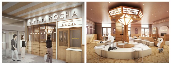 猫カフェMOCHAが名古屋エリア3店舗目の展開へ　東海エリア最大級のショッピングモールの新たな癒しスポット「猫カフェMOCHAららぽーと名古屋みなとアクルス店」