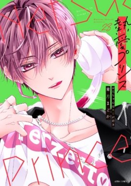 『熱愛プリンス お兄ちゃんはキミが好き』コミックス最新23巻