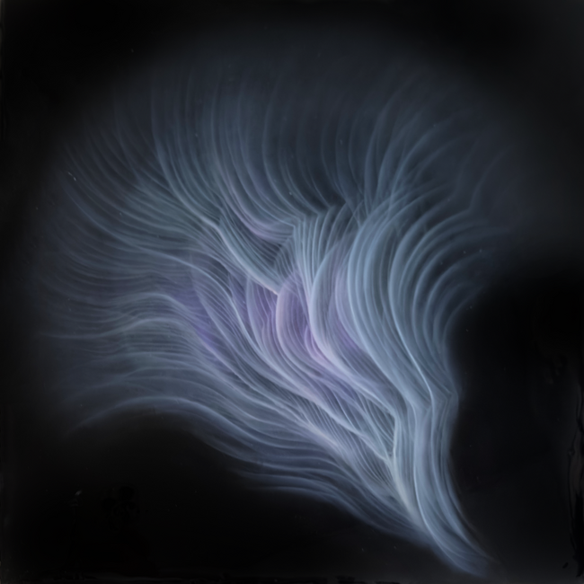 現代アーティスト・KOAZUKI Solo Exhibition 「True Self」開催決定