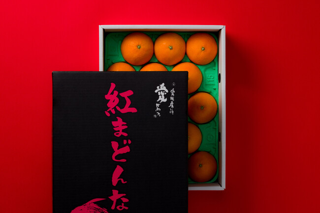 毎年好評で今年も品切れ必至！今治市のNo1返礼品の高級柑橘「紅まどんな」の寄附受付を今年度も開始します。