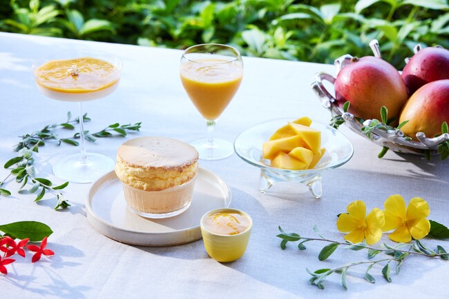 【西表島ホテル】ほとんど市場に出回らない農家こだわりのマンゴーを、収穫最盛期に堪能「至福のマンゴーモーニング」開催