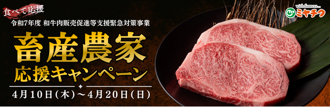 【食べて応援！畜産農家応援キャンペーン開始！】新生活を始める方への贈り物にもおすすめ！すべて国産牛ハンバーグ付きのお得な商品多数！宮崎県産黒毛和牛を特別価格で味わおう！