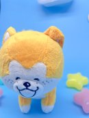 垂れた耳とニッコリ笑顔 垂れた耳とニッコリ笑顔