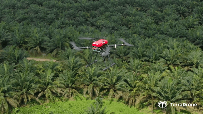 テラドローン、インドネシア最大級のパーム農園のセキュリティ強化に向けてドローン監視システムを導入