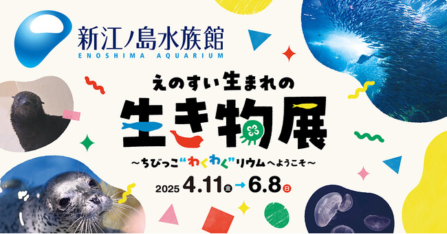 【新江ノ島水族館生まれのちびっこ大集合】『えのすい生まれの生き物展 ～ちびっこ“わくわく”リウムへようこそ～』本日スタート！