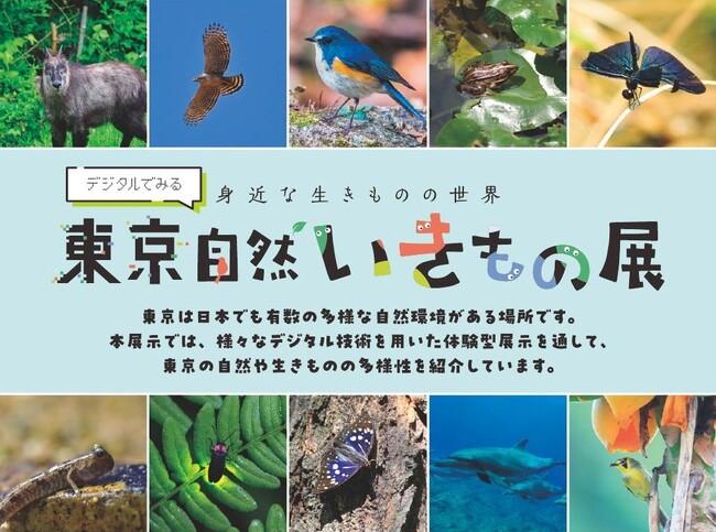 デジタルでみる東京自然いきもの展