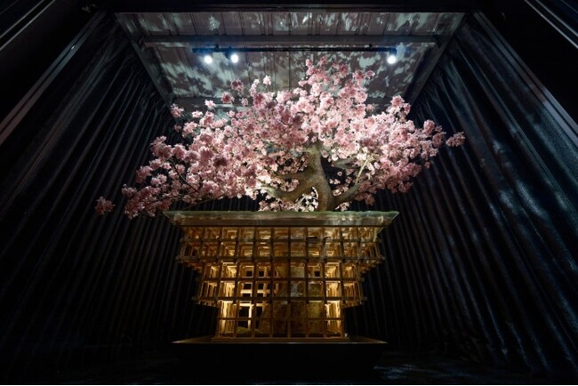 RED° TOKYO TOWERが3周年で新章へ。 “桜・着物” 日本文化の新体験が4月11日新登場　リニューアルに向けたクラウドファンディングも4月19日始動！