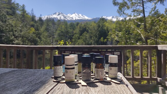 ディープな森林浴の世界で非日常体験！心身をリフレッシュ　休暇村乗鞍高原では、専門ガイドが案内する「香森林浴(R)体験付き宿泊プラン」を販売　～現代にマッチングした森林浴＆ウォークをお楽しみください～