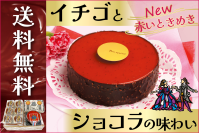 北海道・柳月から4月16日(水)「赤いオペラセット」が5日間限定販売、さらにお得な送料無料！母の日にもおすすめ。