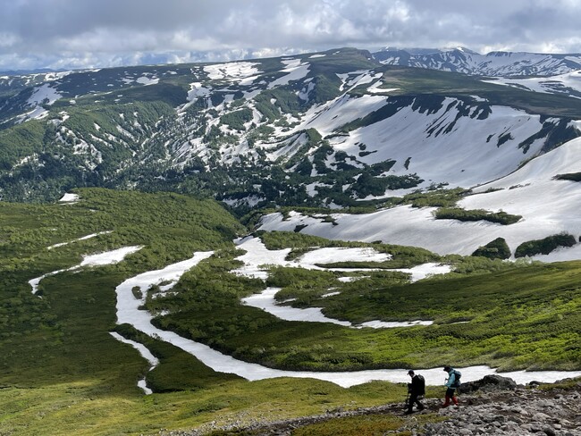 日本自然保護協会とコンサベーション・アライアンス・ジャパンが山岳域等のネイチャーポジティブの実現に向けて連携協定を締結