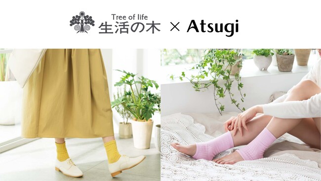 アツギ 生活の木と初コラボ！「セサミオイル加工」をプラスしたレッグウェアを新発売