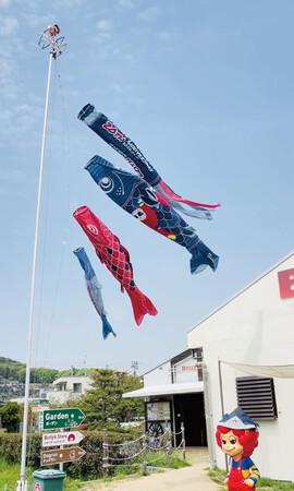 ジーンズの街の「デニム柄こいのぼり」、掲揚式。同時に工場見学改装後、初公開。