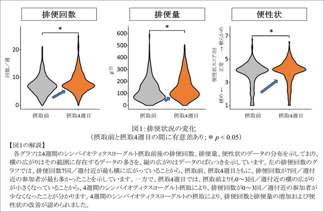 ビフィズス菌BB536とラクチュロースを含むシンバイオティクスヨーグルトが整腸作用に加えて、心の健康度や労働パフォーマンスを改善することが明らかに