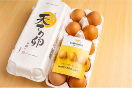 天てり卵10個入り 天てり卵10個入り