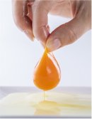 天てり卵の濃厚な黄身 天てり卵の濃厚な黄身