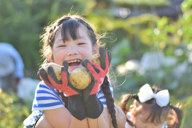 オーガニック給食の普及に向けた初の公募助成第１回（2025年度）　助成先7企画を決定！