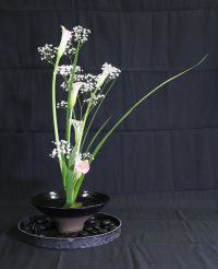 ビジネスリーダーがIKEBANAをいけるIN東京タワー　イベント「花響HANAYUME」4月19日～29日まで開催　いける日は4月18日16:00～4月24日9時～29日表彰式