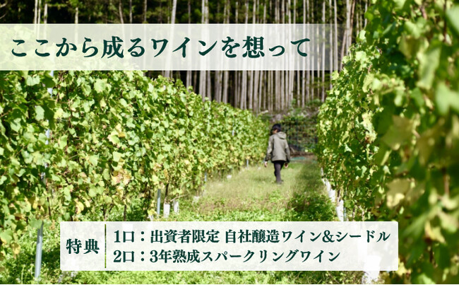 【新規ファンド公開】理想のワイン造りを実現させる｜ユズファーム自社ワイナリー設立ファンド
