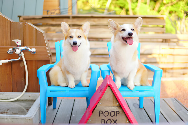 〔いぬやど新掲載〕愛犬とのライフスタイルをもっと豊かに。DOG DEPT（ドッグデプト）がプロデュースするプライベートコテージ『THE DOG DEPT GARDEN RESORT 館山犬石』