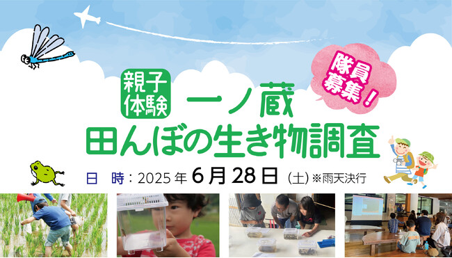 親子体験！一ノ蔵 田んぼの生き物調査 隊員募集♪